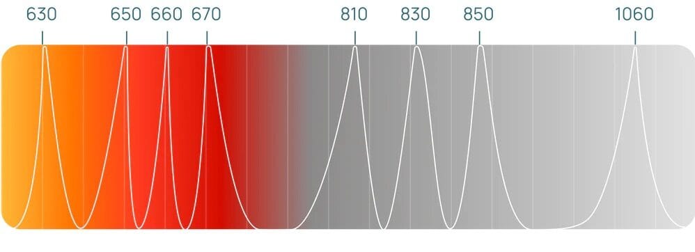 Schematische weergave van vier rode en vier nabij-infrarode golflengtes